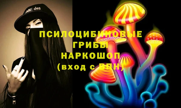 соль ск Аркадак