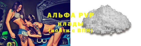 тгк Бородино