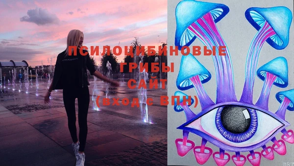 кокс Арсеньев