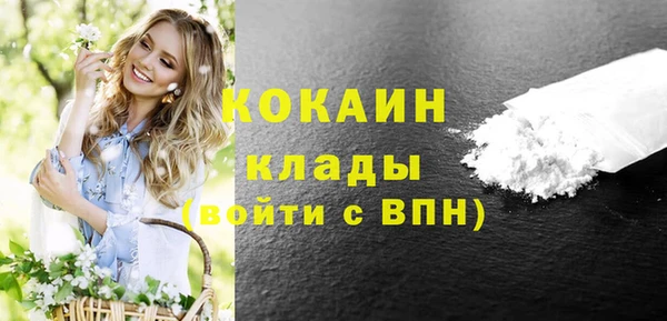кокс Арсеньев
