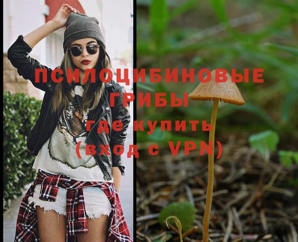 кокс Арсеньев
